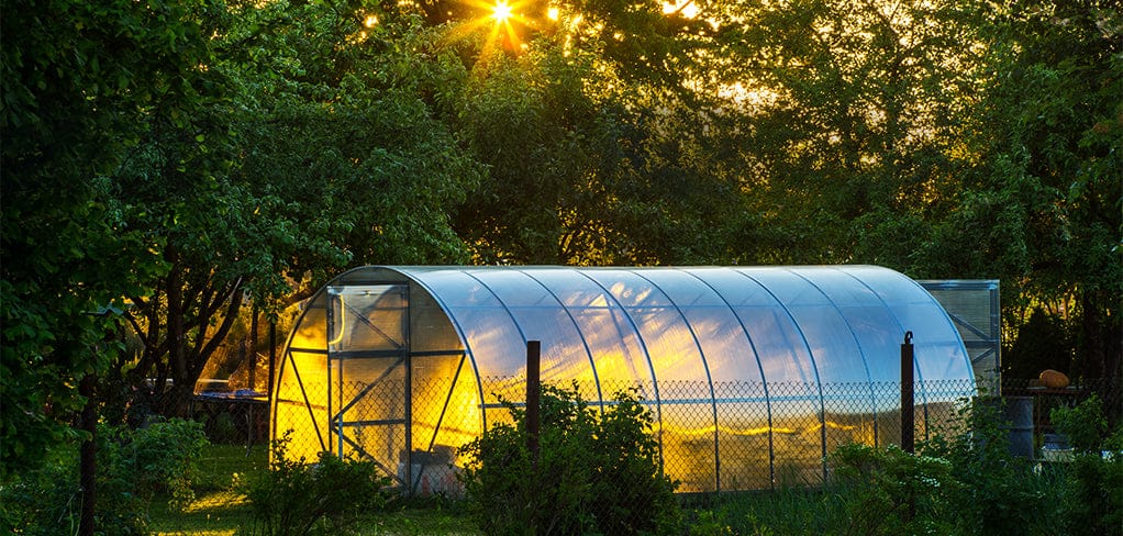 The Ultimate Guide to Picking the Best Greenhouses
