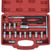 vidaXL || 17 pcs Diesel Injector Seat Cutter Set 210282