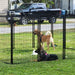 Aleko Products || Extra-Large Heavy Duty Dog Kennel Playpen - 16 Panel - 10 x 10 x 4 Feet
