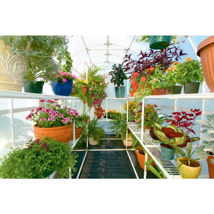Solexx || 8' x 12' Solexx Gardener's Oasis Home Greenhouse - Basic
