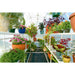 Solexx || 8' x 12' Solexx Gardener's Oasis Home Greenhouse - Deluxe