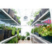 Solexx || 8' x 8' Solexx Garden Master Backyard Greenhouse - Deluxe