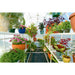 Solexx || 8' x 8' Solexx Gardeners Oasis Home Greenhouse - Basic