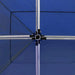 vidaXL || vidaXL Professional Folding Party Tent with Walls Aluminum 19.7'x9.8' Blue