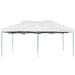 vidaXL || vidaXL Professional Folding Party Tent 9.8'x19.7' Steel White