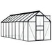 vidaXL || vidaXL Greenhouse Anthracite Aluminum 100.2 ft²