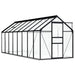 vidaXL || vidaXL Greenhouse with Base Frame Anthracite Aluminum 100.2 ft²