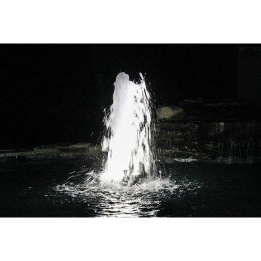 Bearon Aquatics || Bearon Aquatics 115V Vertical Fixed Base Shallow Pond Fountain
