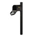 Special Lite Products || Berkshire Curbside Mailbox with Locking Insert and Wellington Mailbox Post, BLACK