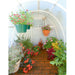 Solexx || Early Bloomer Hobby Greenhouse Kit - Basic