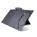 EcoFlow || EcoFlow DELTA 2 + 2 x 160W Portable Solar Panel