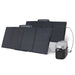 EcoFlow || EcoFlow DELTA 2 + 2 x 160W Portable Solar Panel