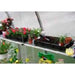 Exaco || Exaco Heavy Duty Seed Trays RIGA Shelf Planter Boxes