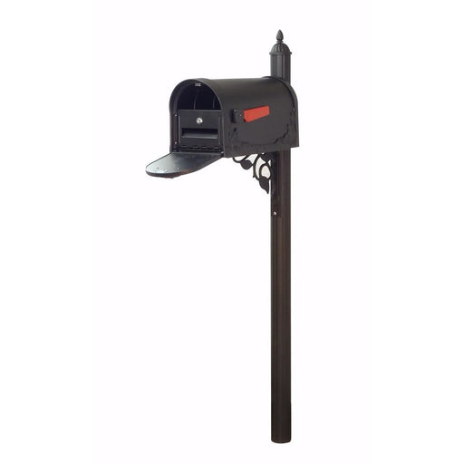 Special Lite Products || Floral Curbside Mailbox with Locking Insert and Albion Mailbox Post