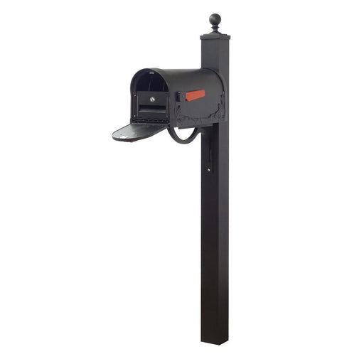 Special Lite Products || Floral Curbside Mailbox with Locking Insert and Springfield Mailbox Post