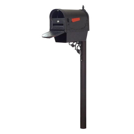 Special Lite Products || Floral Curbside Mailbox with Newspaper Tube, Locking Insert and Albion Mailbox Post