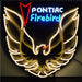 Neonetics || Neonetics Pontiac Firebird Gold Neon Sign With Backing 5FBRDB