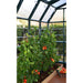 Canopia by Palram || Rion Prestige 2 Series 8' x 16' Greenhouse HG7316
