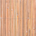 vidaXL || vidaXL Bamboo Fence 49.2"x157.5" 48656