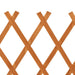 vidaXL || vidaXL Garden Trellis Fence Orange 47.2"x35.4" Solid Firwood 314824