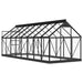 vidaXL || vidaXL Glass Greenhouse Anthracite 61"x155.7"x75.2" Aluminum
