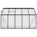 vidaXL || vidaXL Greenhouse Anthracite Aluminum 229.5 ft²