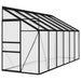vidaXL || vidaXL Greenhouse Anthracite Aluminum 262.7 sq. ft 312047