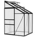 vidaXL || vidaXL Greenhouse Anthracite Aluminum 91.4 ft²