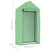 vidaXL || vidaXL Greenhouse with Steel Frame 5.4 sq. ft 39.4"x19.7"x74.8" 48168